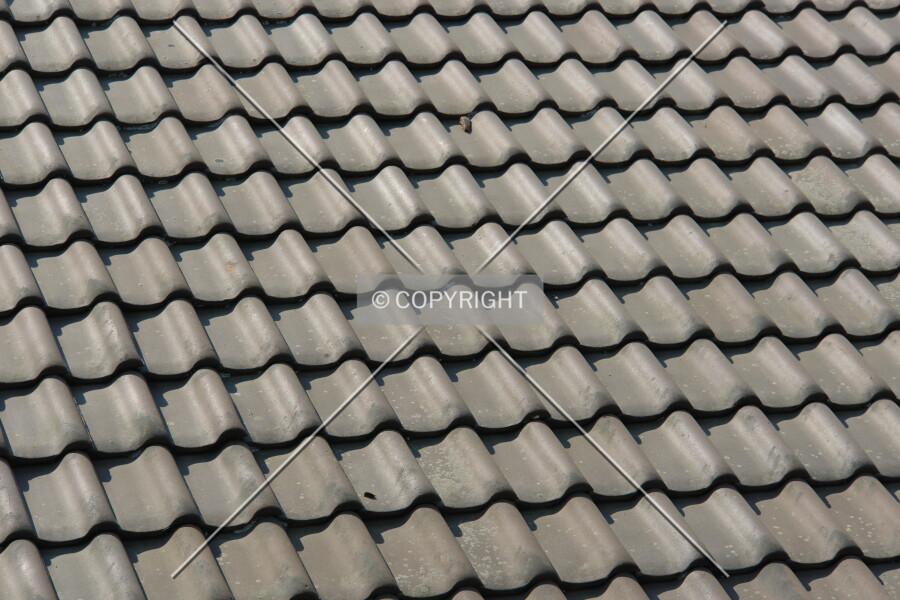 Photo 693-313-130