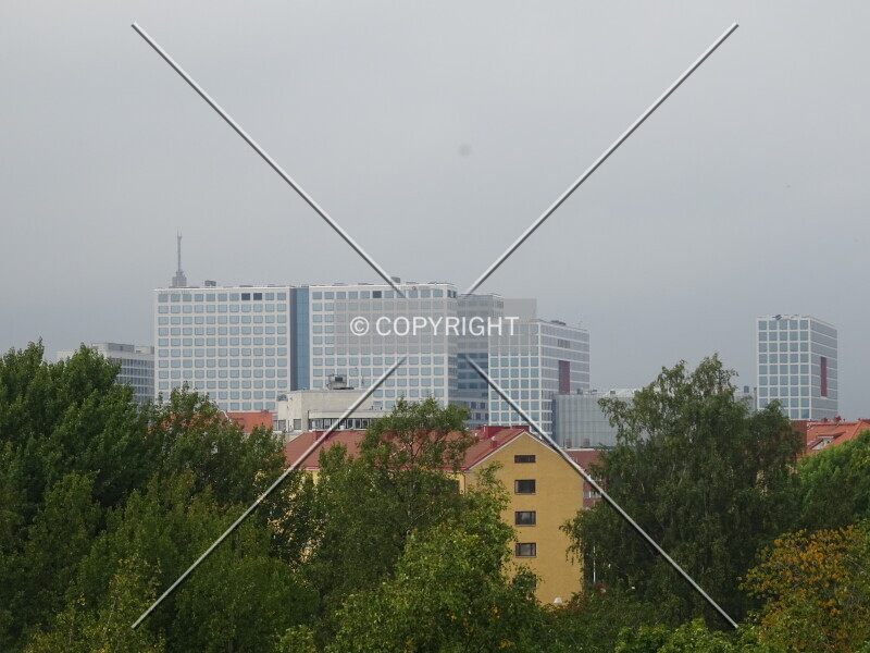 Photo 694-519-452