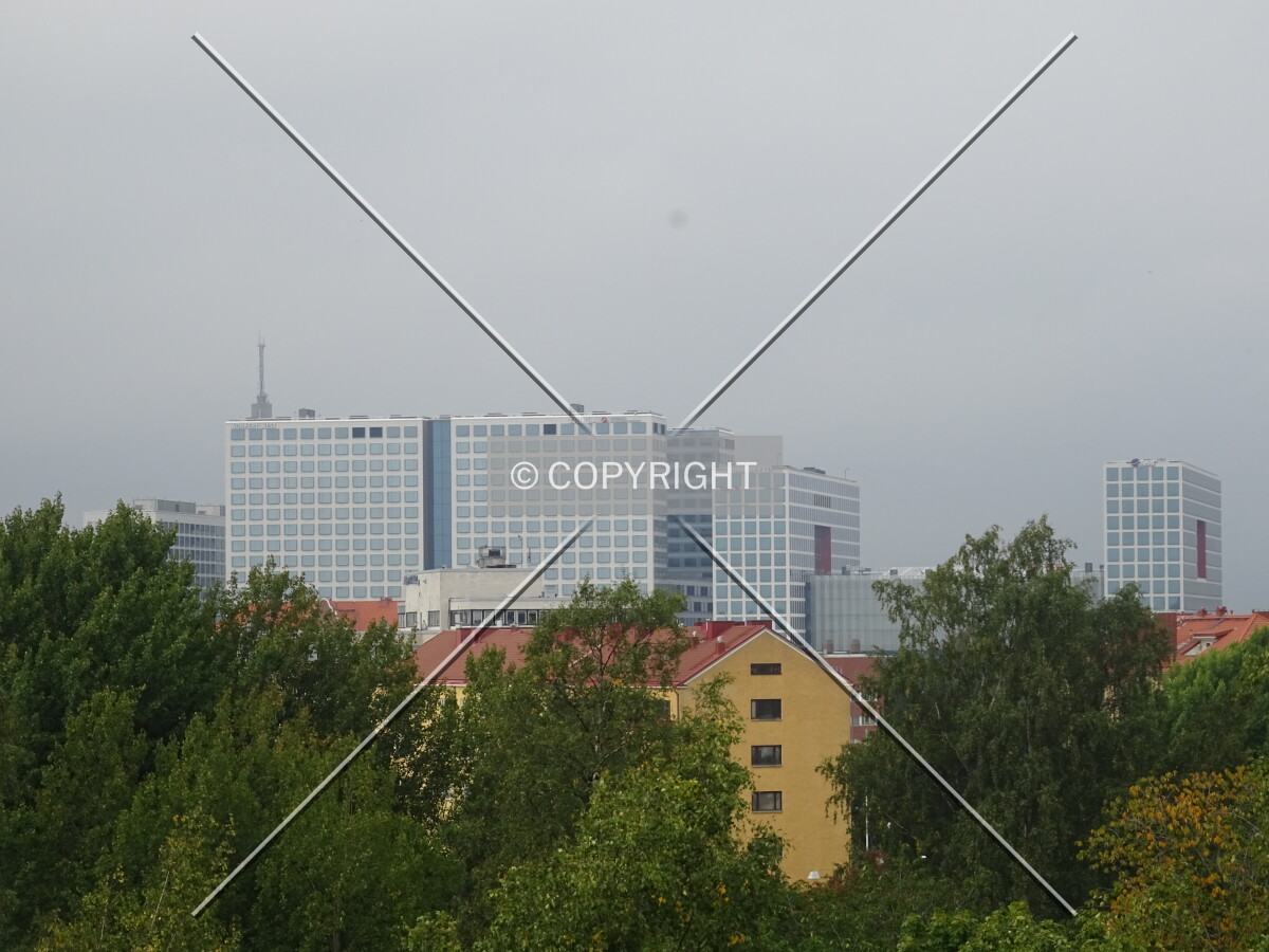 Photo 694-519-452