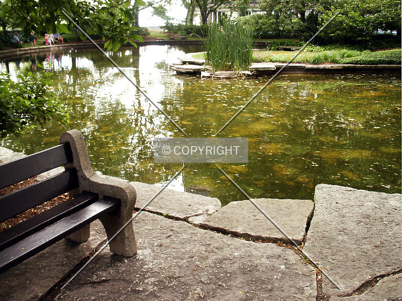 Photo 695-108-465
