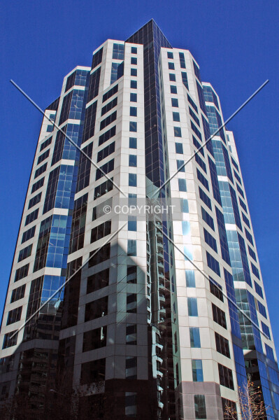 Photo 695-132-658