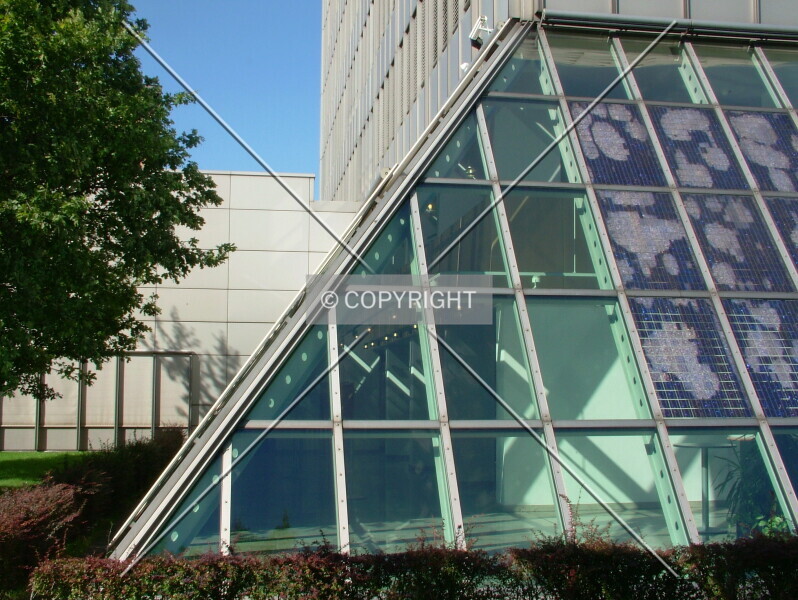 Photo 695-163-871