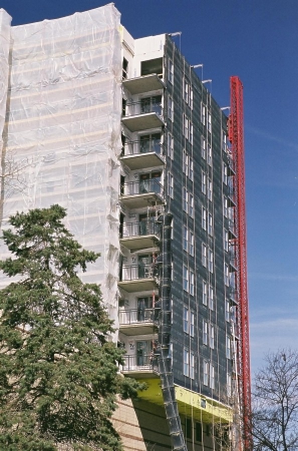 View from the south