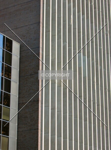 Photo 695-588-278