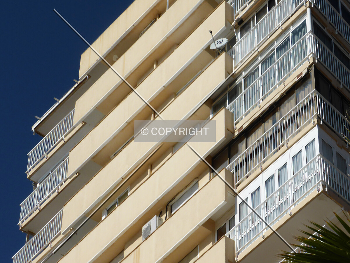 Photo 696-336-080