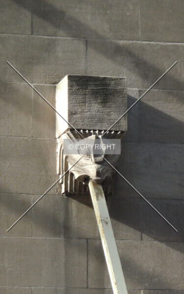 Photo 697-388-435