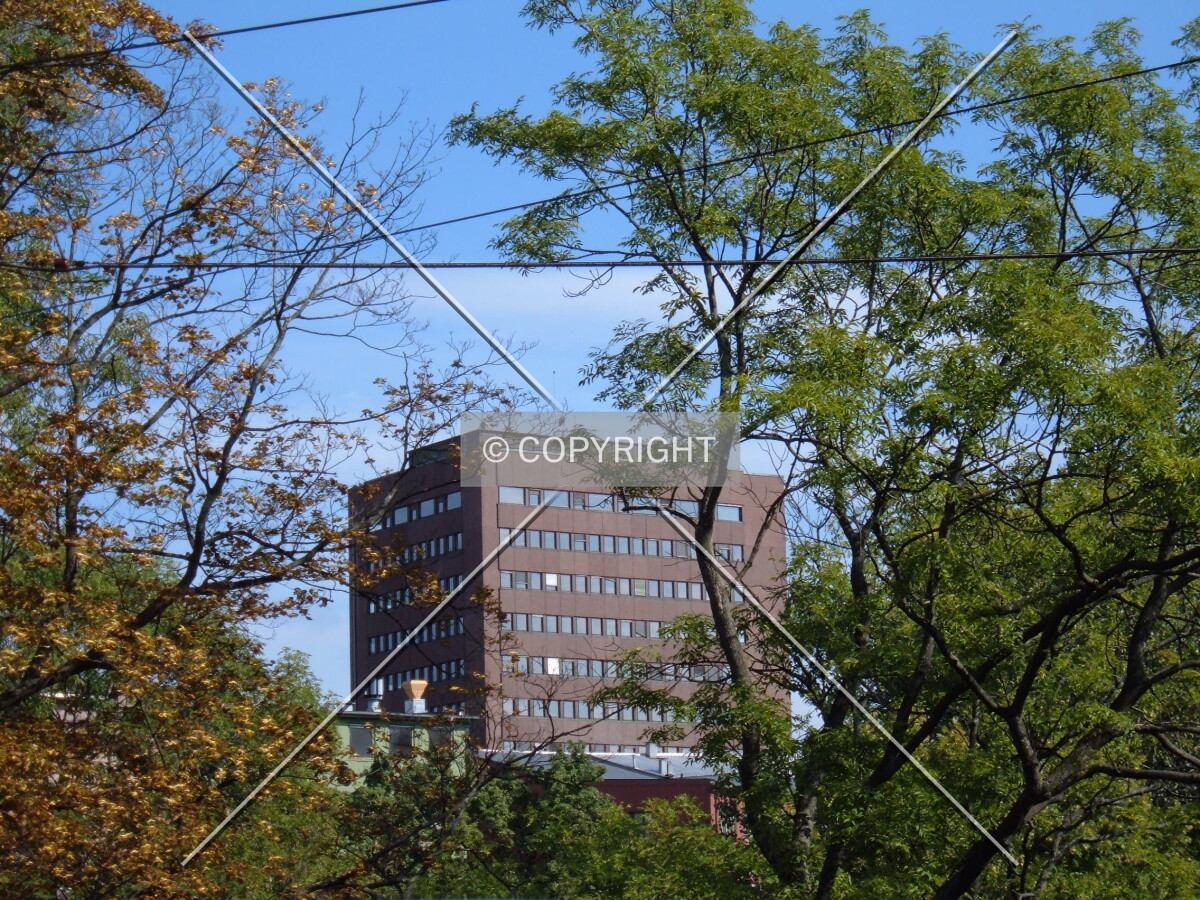 View from Nybrua