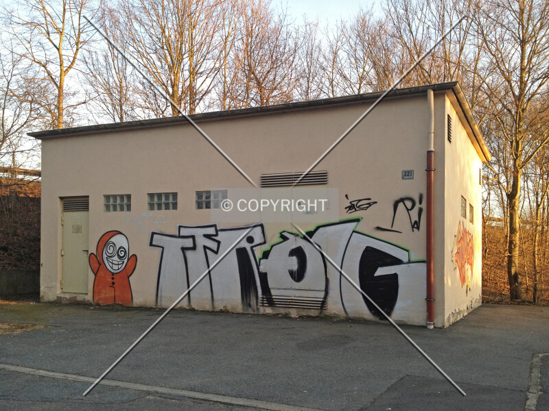 Photo 700-289-770