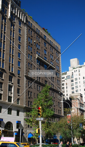 Photo 700-737-247