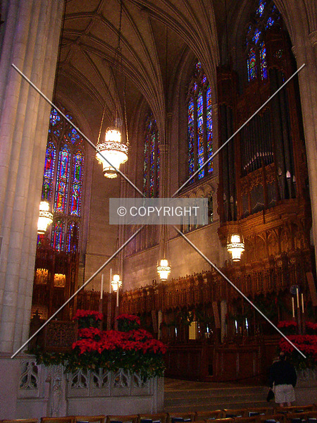 Photo 700-971-598
