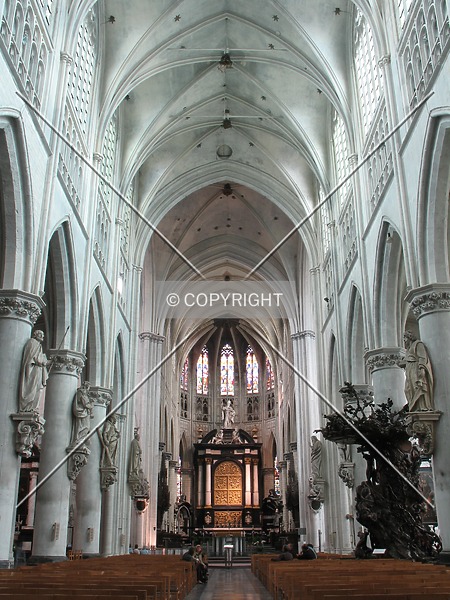 Photo 703-706-458