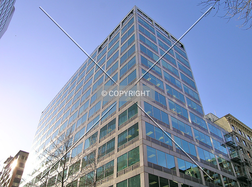 Photo 704-806-240
