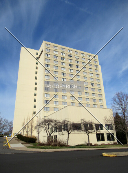 Photo 705-793-274
