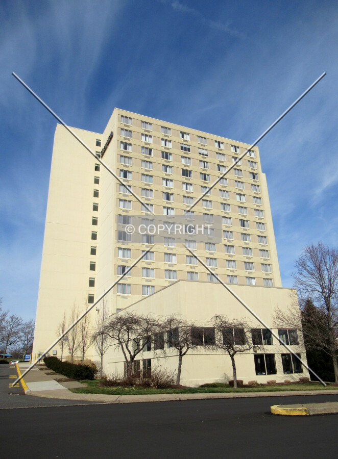 From the south
