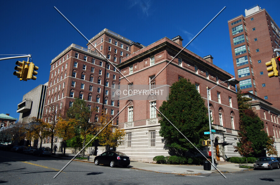 Photo 706-447-733
