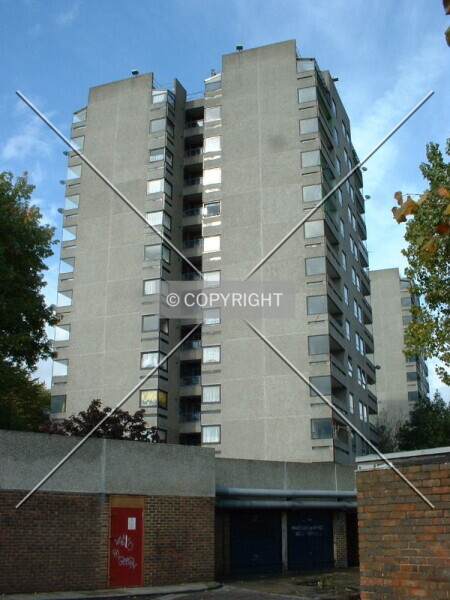 Photo 707-981-016