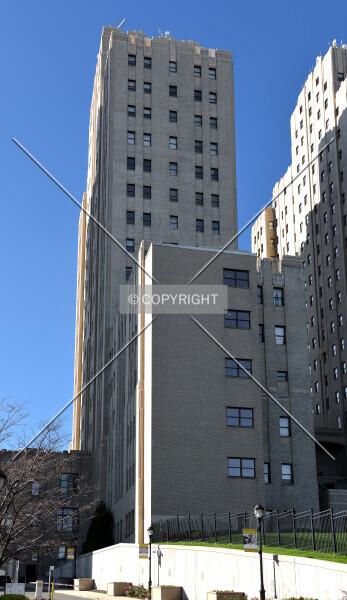 Photo 710-993-460
