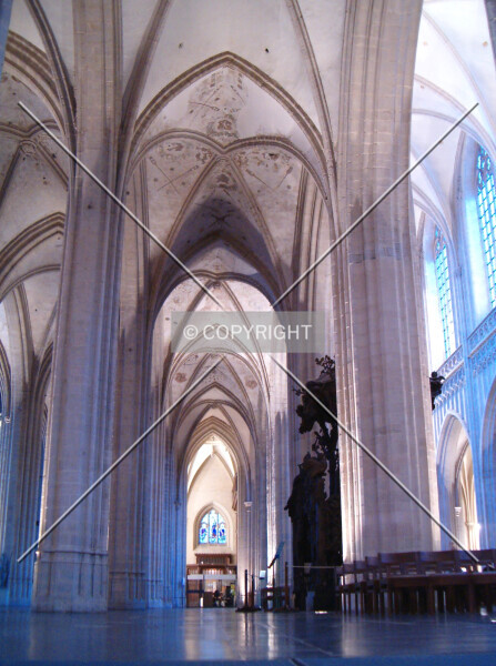 Photo 711-558-084