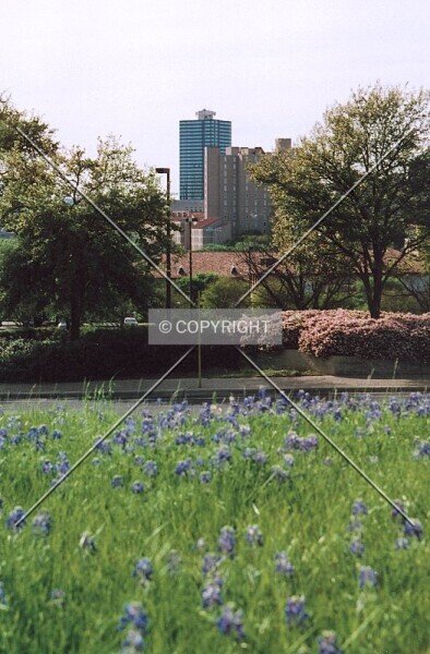 Photo 712-972-678