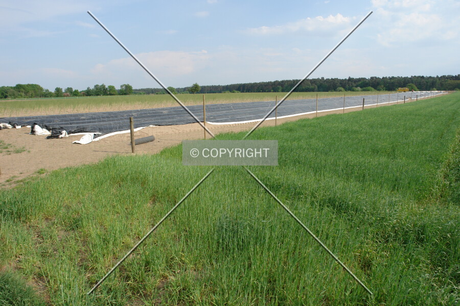 Photo 713-203-300
