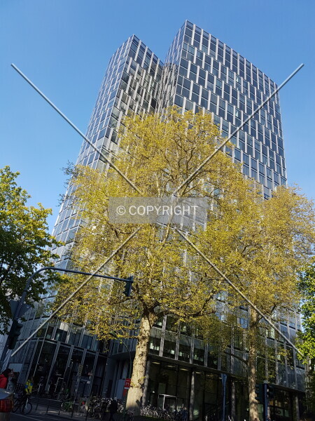 Photo 713-942-168