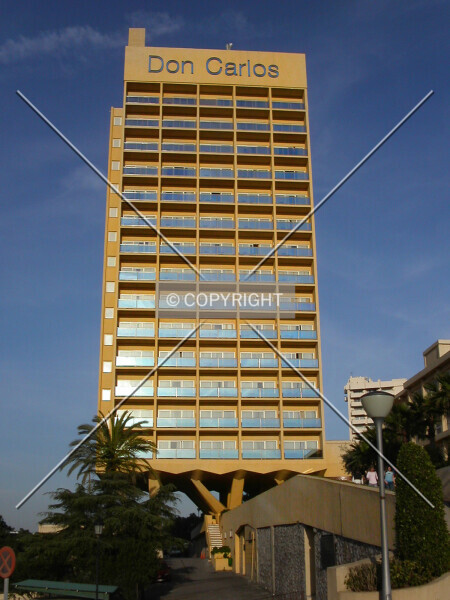 Don Carlos Hotel
