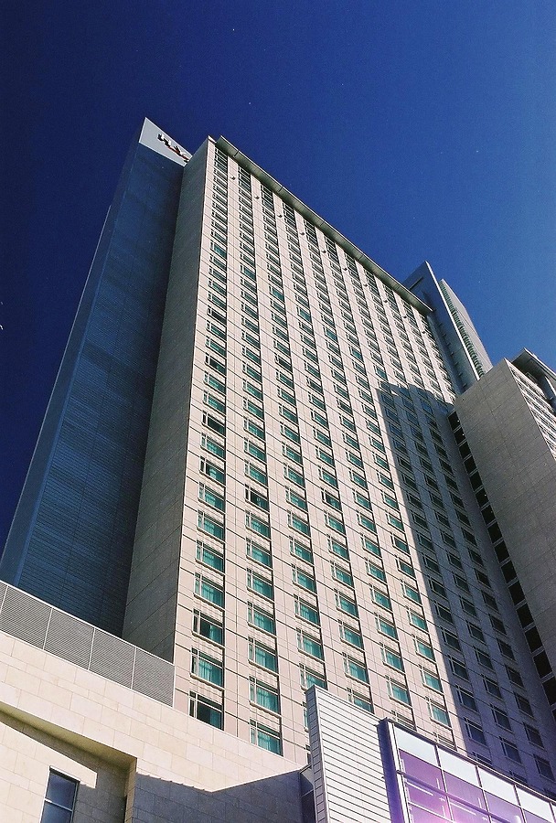 View from the north