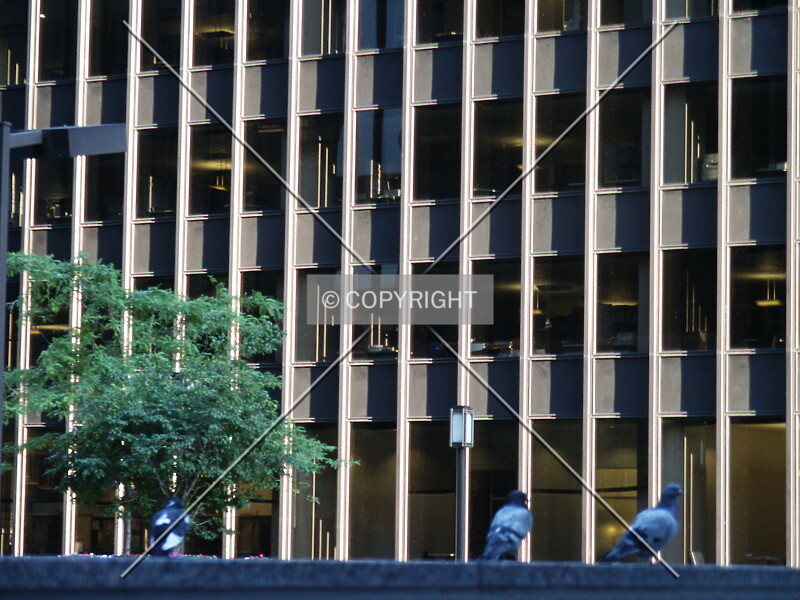 Photo 718-519-118