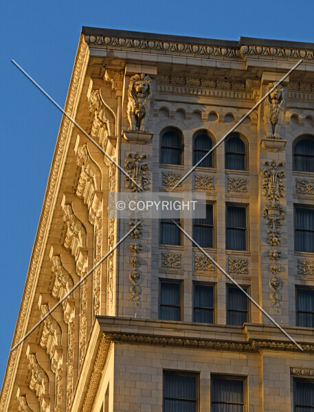 Photo 722-338-578
