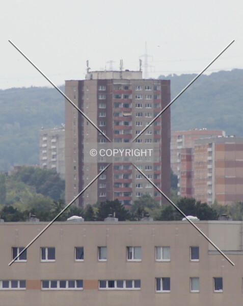 Photo 722-442-545