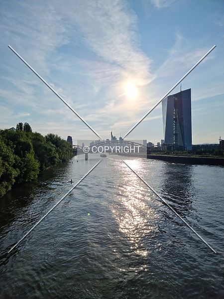 Photo 722-705-355