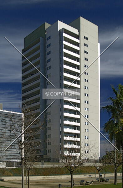 Photo 723-176-297