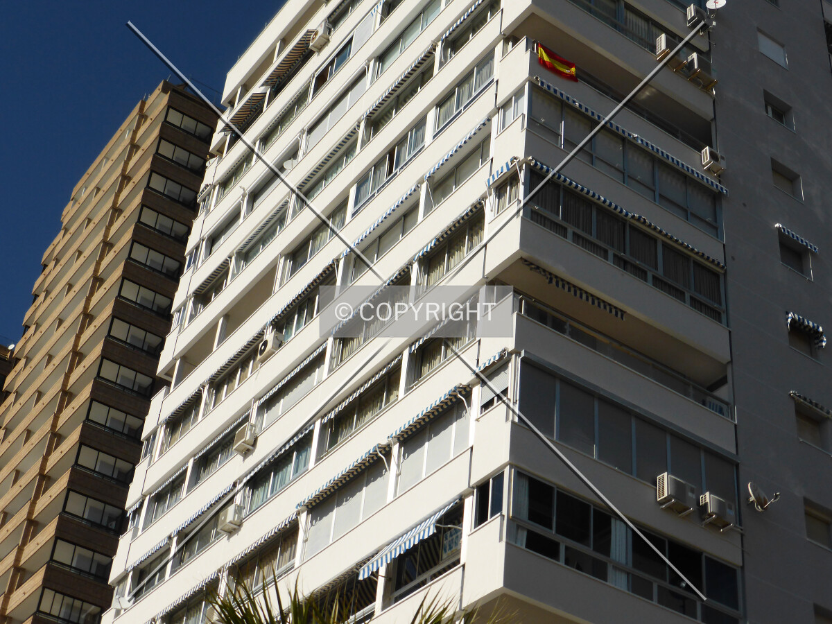 Photo 723-262-728