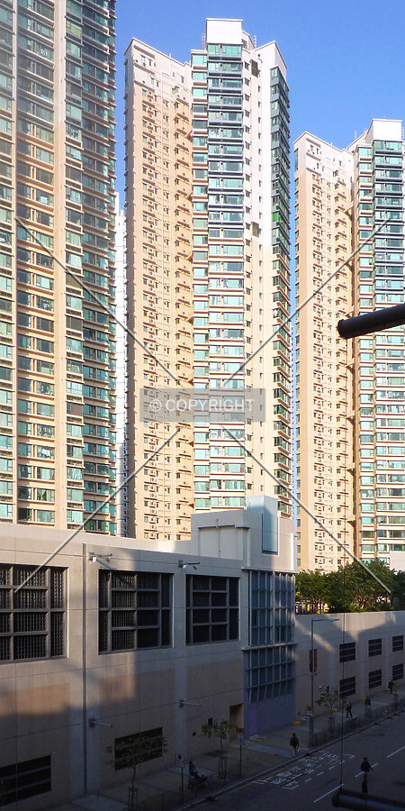 View from Hoi Fan Road