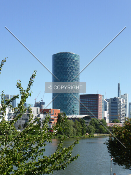 Photo 725-954-441
