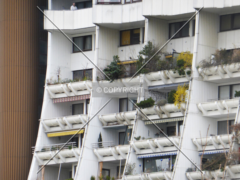 Photo 727-252-454