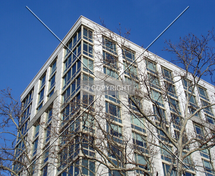 Photo 727-849-675