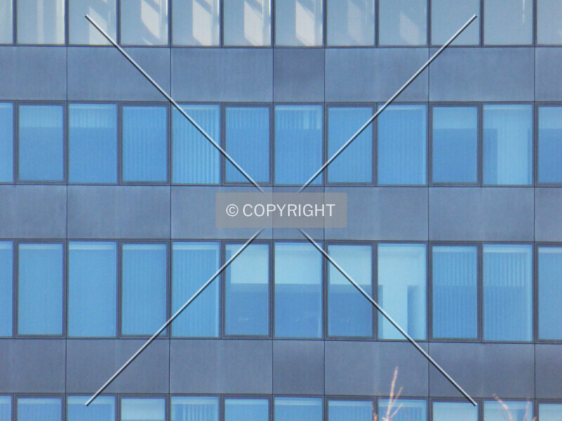 Photo 727-891-216