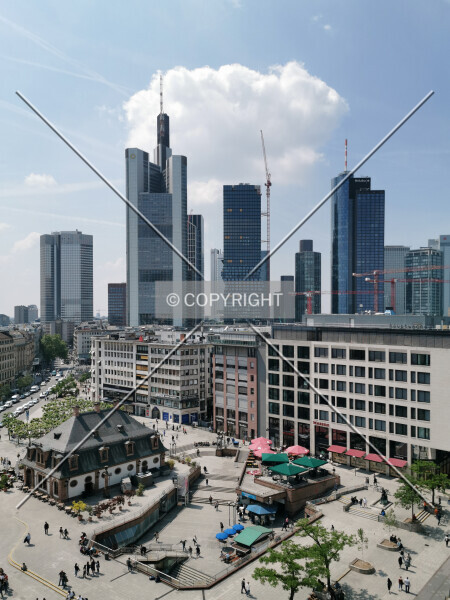 Photo 728-188-782
