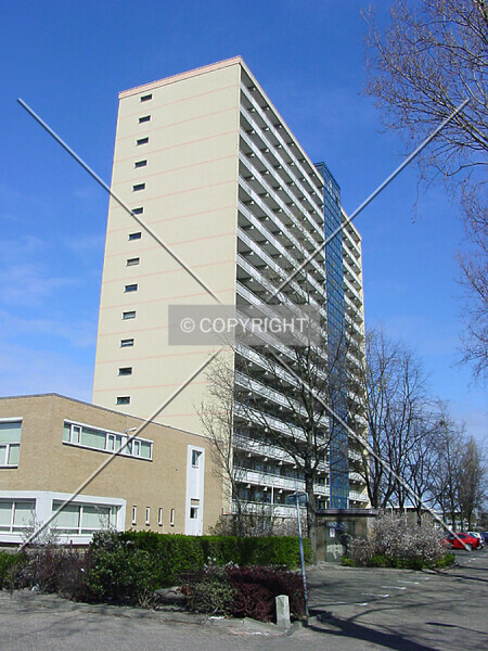 Photo 728-777-996