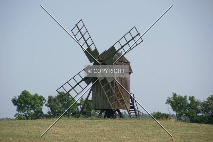 Photo 728-978-404