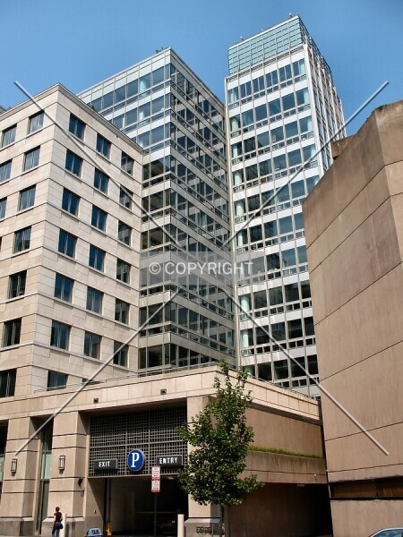 Photo 729-296-308