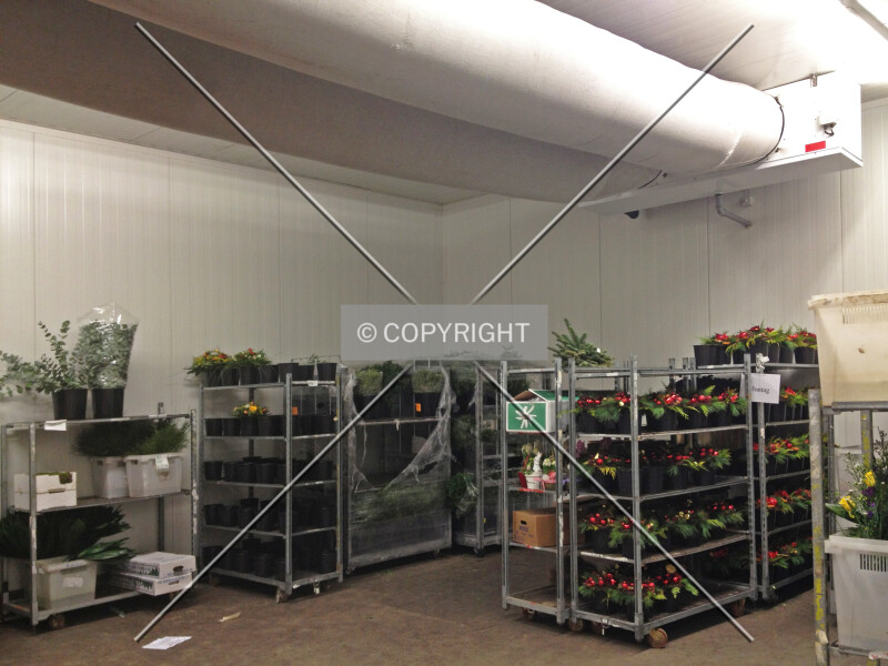 Photo 729-408-732