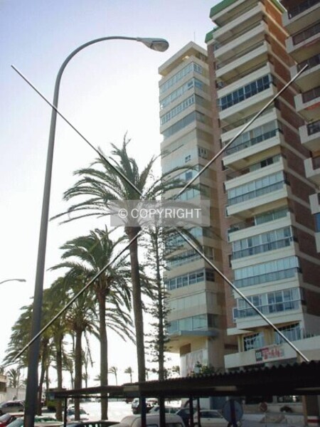 Photo 729-616-724
