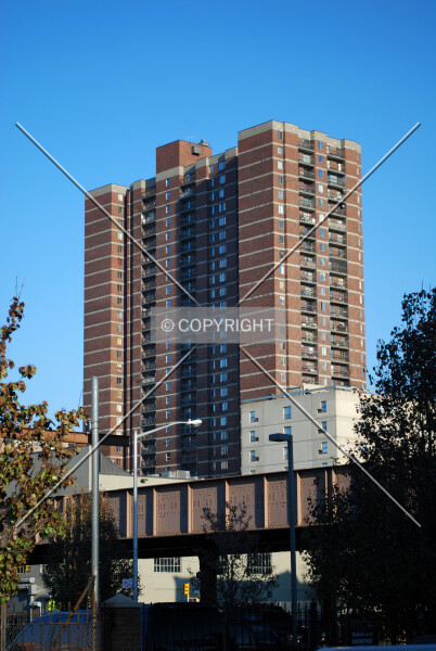 Photo 730-169-707