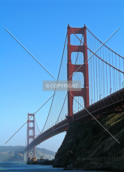 Photo 730-524-669