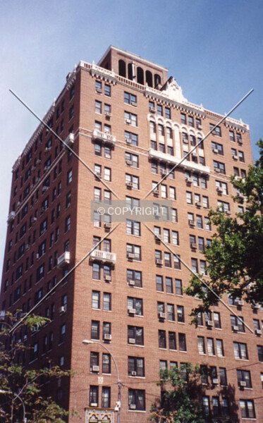 Photo 730-739-483