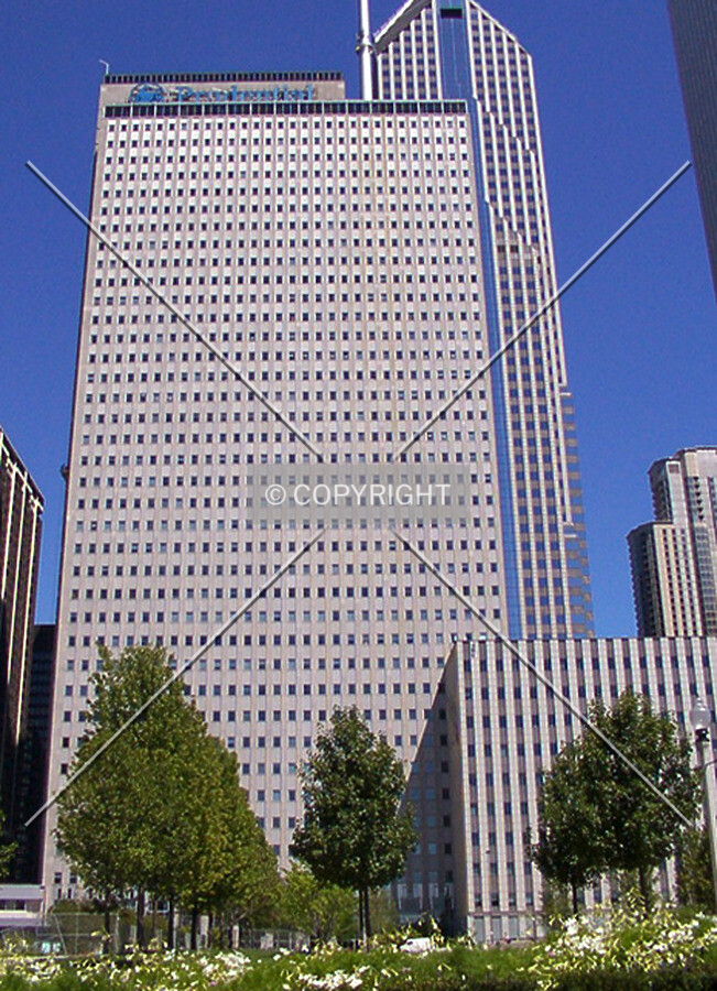 View from the south
