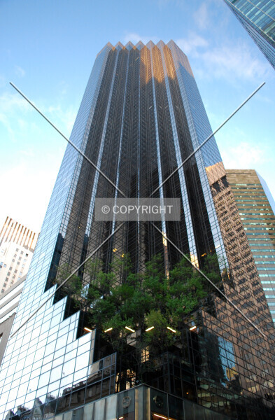 Photo 732-444-141