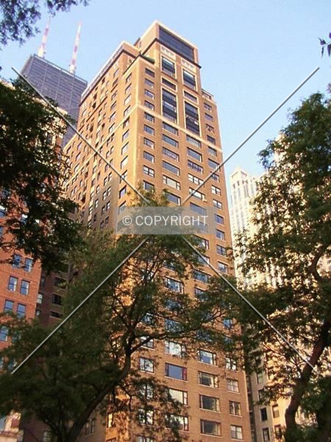 Looking up from the park